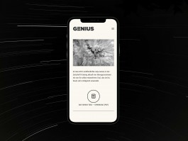 responsive Webdesign Grafikdesign und Webdesign Dortmund und NRW