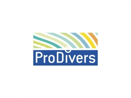  Grafikdesign und Webdesign Dortmund und NRW