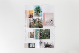 Grafikdesign und Webdesign Dortmund und NRW